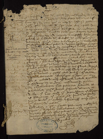 Fief de La Brosse à Devay : terrier.