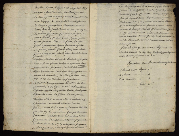 Tenures roturières à Decize et ses environs : terrier.