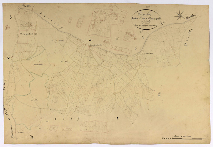 Bazoches, cadastre ancien : plan parcellaire de la section C dite de Champignolle, feuille 2