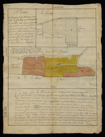 Droits du seigneur Alixand de Maux sur des vignobles de La Pétroque et des Saulaies à Marzy : plan.