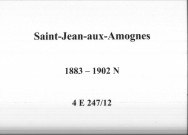 Saint-Jean-aux-Amognes : actes d'état civil (naissances).