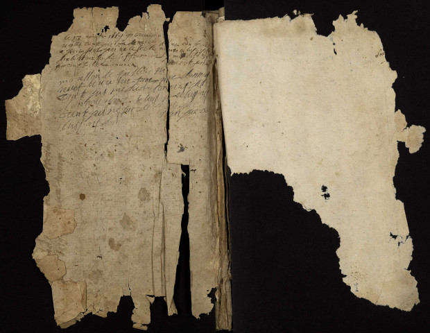 Fief du Tremblay à Isenay : terrier.