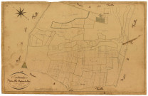 Entrains-sur-Nohain, cadastre ancien : plan parcellaire de la section A dite du Château du Bois, feuille 2