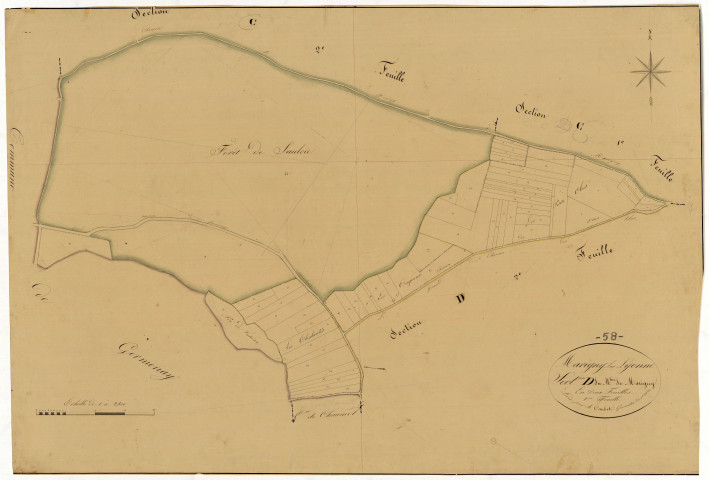 Marigny-sur-Yonne, cadastre ancien : plan parcellaire de la section D dite du Moulin de Marigny, feuille 1