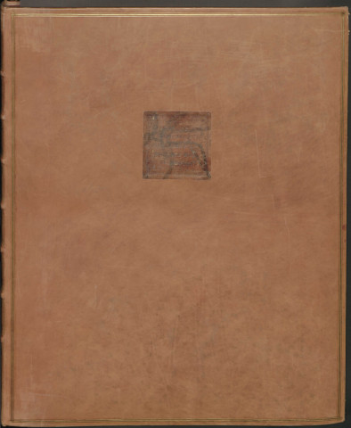 Atlas terrier. Terrier.