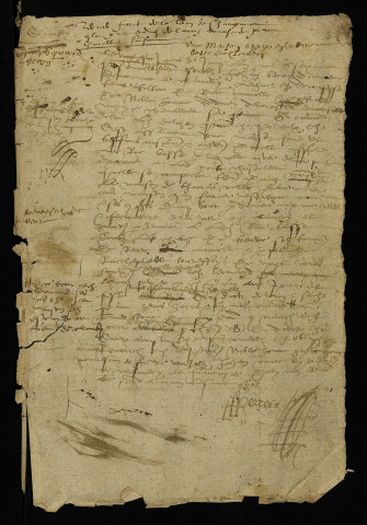 Fief de Champmorot (Champmoreau) à Ouagne : terrier.