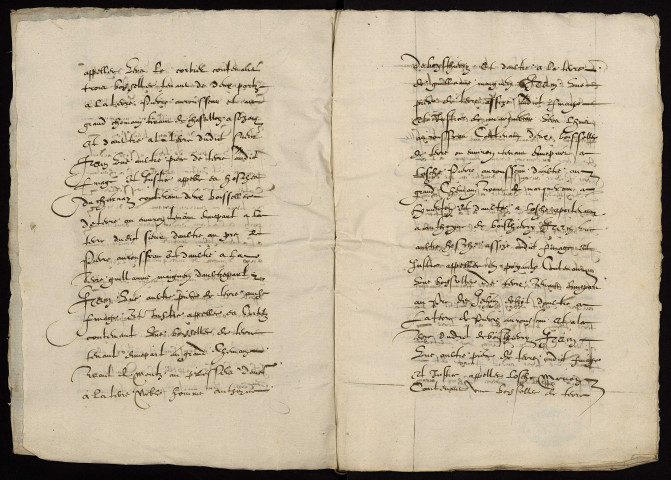 Fief de Mont-Marquereau à Limanton : terrier.