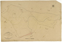 Luzy, cadastre ancien : plan parcellaire de la section C dite de Montarmin et Monteuillon, feuille 5