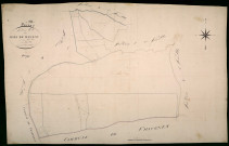 Raveau, cadastre ancien : plan parcellaire de la section C dite des Bois de Raveau, feuille 1
