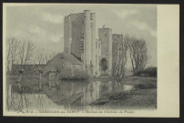 VARENNES-les-NARCY - Ruines du Château de Passy