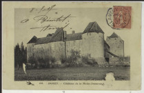 PERROY – Château de la Motte-Josserand