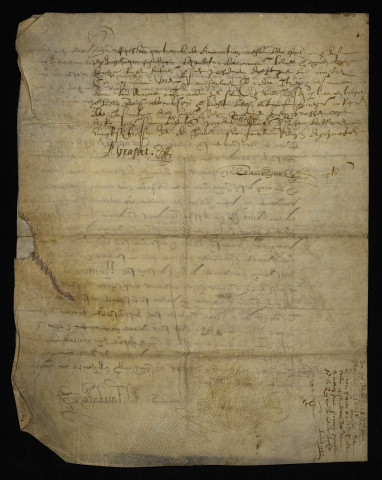 Succession de Charlotte de Champs. - Héritages (domaine de Saulx) à Decize de la veuve des sieurs Millin marchand apothicaire et Tillot, cession à Robert Millin son fils : copie du contrat de donation du 27 décembre 1597.