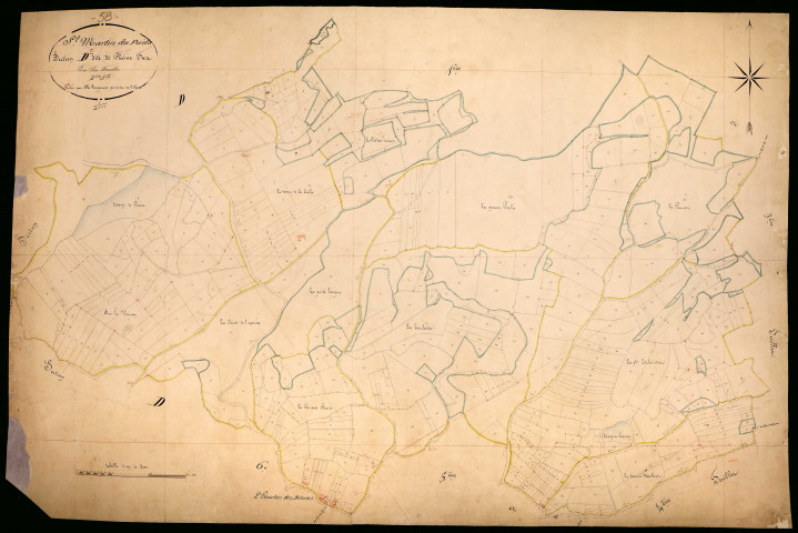 Saint-Martin-du-Puy, cadastre ancien : plan parcellaire de la section D dite de Plainefas, feuille 2