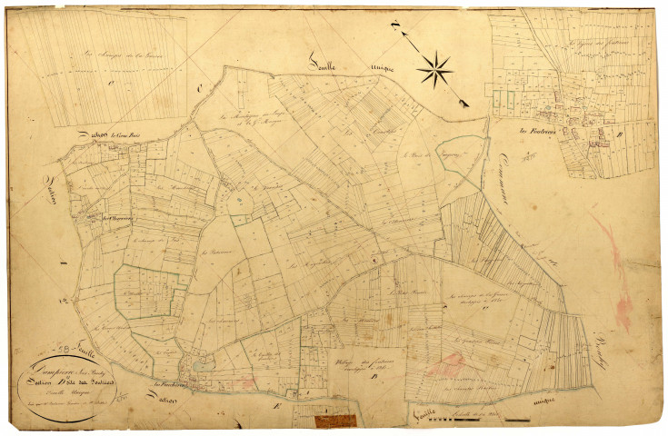 Dampierre-sous-Bouhy, cadastre ancien : plan parcellaire de la section D dite des Foutriers