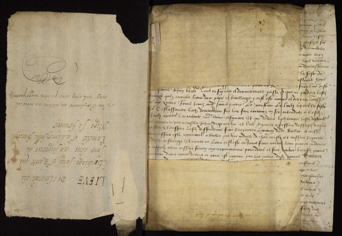 Fief de La Môle à Cours-Les-Barres (Cher) : recueil de lièves terrier avec deux tables nominatives.