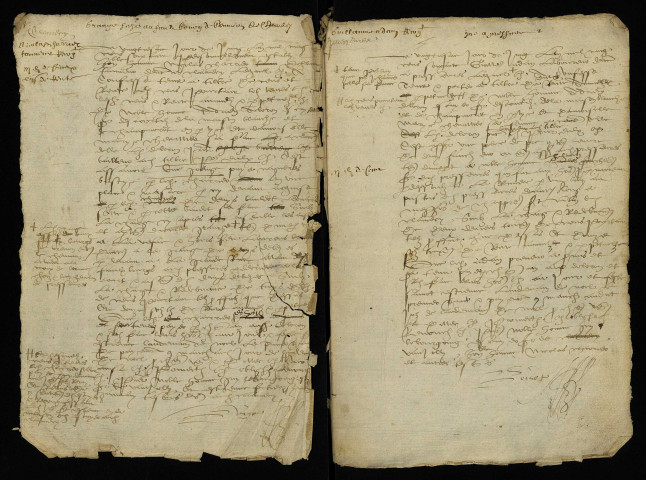 Fief de Champmorot (Champmoreau) à Ouagne : terrier.