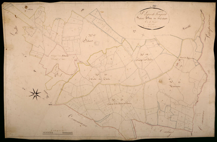 Saint-Léger-de-Fougeret, cadastre ancien : plan parcellaire de la section D dite des Michots, feuille 3