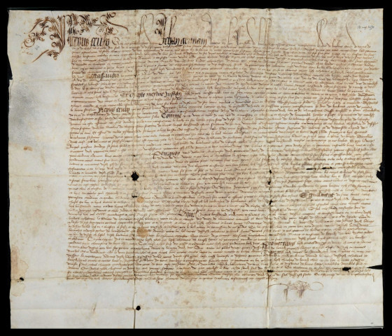 Féodalité. - Foncier (plottes de Lamenay), vente par Thomas Garnier : quittance d'investiture en faveur de Durant dit Bardet (pièce parchemin) (mai 1490), note analytique et transcription (deux pièces papier) [XVIIIe siècle].