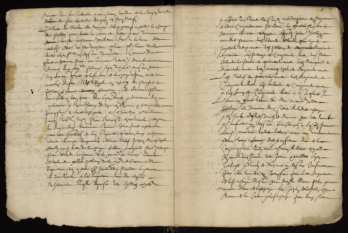 Fief de La Chaize à Saint-Hilaire-Fontaine : terrier.