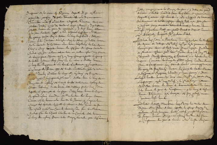 Fief de La Chaize à Saint-Hilaire-Fontaine : terrier.