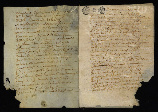 Biens et droits. - Rente hypothécaire Desprez, vente par le seigneur de Cougny (commune de Saint-Jean-aux-Amognes) aux ursulines de Nevers : copie du contrat de constitution du 24 novembre 1684.