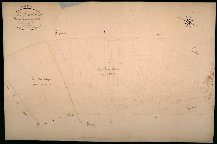 Saint-Andelain, cadastre ancien : plan parcellaire de la section A dite des Bois Chatin, feuille 7
