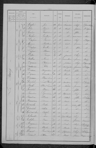 Saint-Sulpice : recensement de 1896