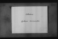 Chevannes-Changy (Chevannes 1693-1792 / Changy 1700-1762) : registres paroissiaux de la collection communale.