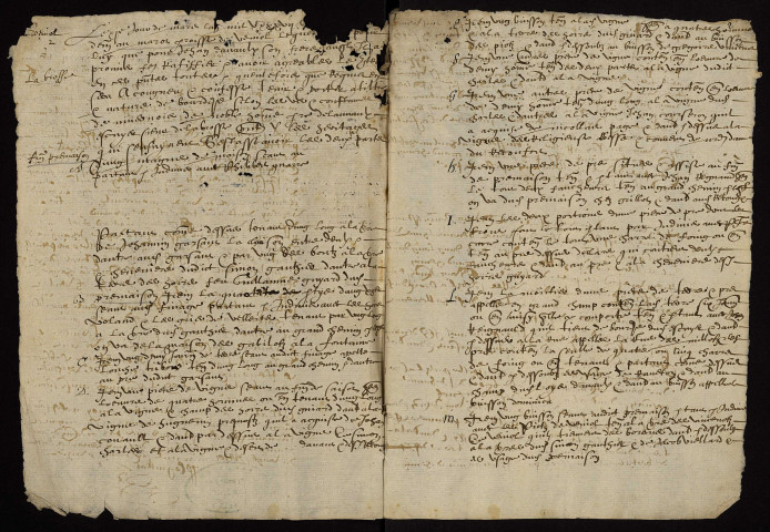 Fief de La Brosse à Devay : terrier.