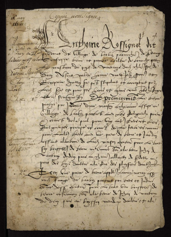 Fief de Druy : terrier.