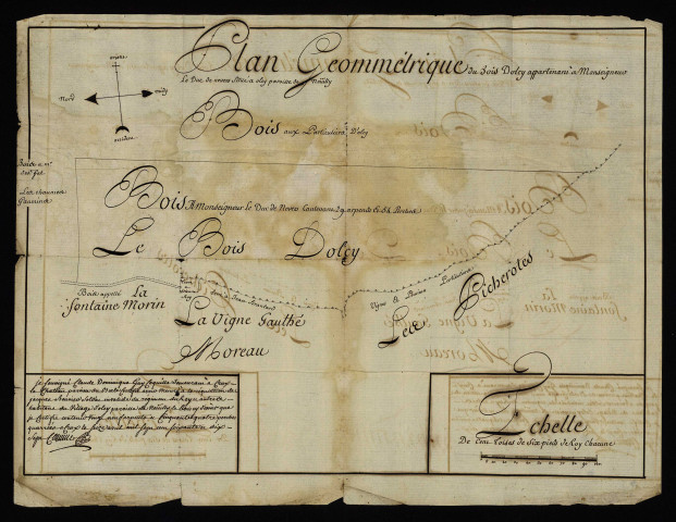 Châtellenie de Champallement : plans géométriques des bois d'Olcy à Neuilly.