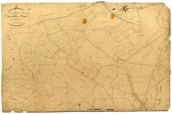 Dampierre-sous-Bouhy, cadastre ancien : plan parcellaire de la section H dite de Rognon, feuille 1