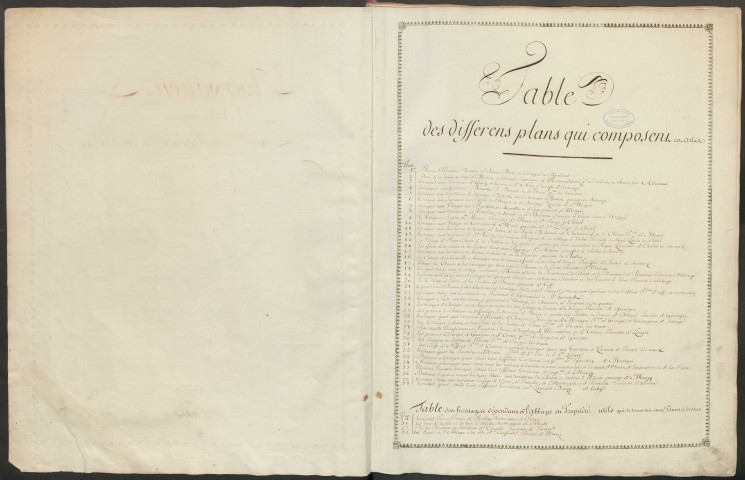 Atlas terrier. Terrier.