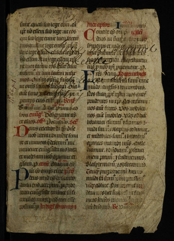 Recueil de lièves terrier. - « Liève de la terre, justice et seigneurye de Vitry appartenant à puissante dame Françoise de la Baulme ». Relevé des redevances dues d'après les indications d'un terrier perdu ; indication des tenanciers et de ceux qu'ils ont remplacés ; quelques mentions des recettes effectuées pour l'année 1601.