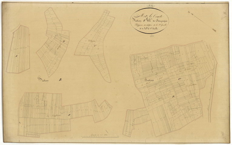 Metz-le-Comte, cadastre ancien : plan parcellaire de la section B dite du Bourg, feuille 2 et de la section C dite de Champagne, feuille 1, développement