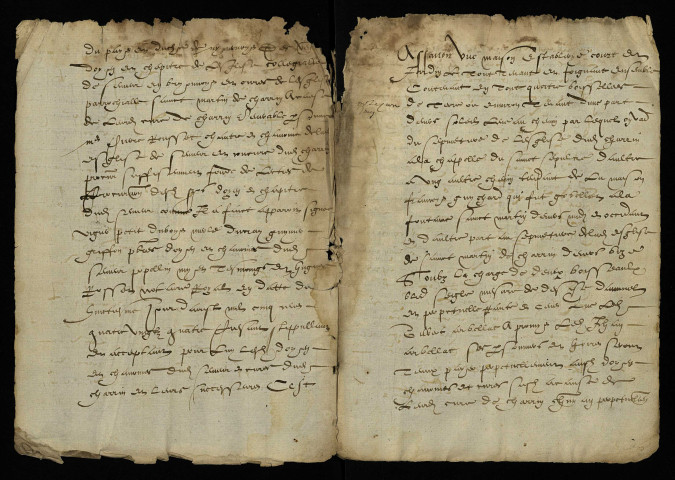 Cure de Charrin : terrier.