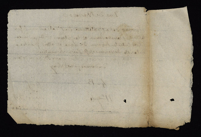 Châtellenie de Châteauneuf-sur-Allier à Mars-sur-Allier, Planchevienne à Magny-Cours et Les Ulmes à Sougy-sur-Loire : terrier.