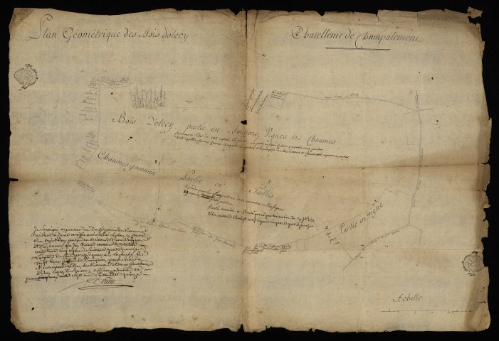Châtellenie de Champallement : plans géométriques des bois d'Olcy à Neuilly.