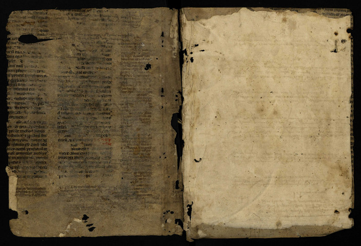 Terrier de la seigneurie d'Imphy, établi par Pannetier et Decolons, notaires royaux, pour Henri de La Grange, marquis d'Arquian, baron de Prye et d'Imphy, représenté par Me Louis Callot, procureur au bailliage et pairie de Nivernais, en vertu du pouvoir de Me Pierre Giffard, intendant dudit Henri de La Grange.