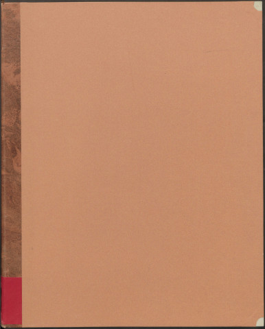 Fief du Marais à Lurcy-le-Bourg : atlas terrier.