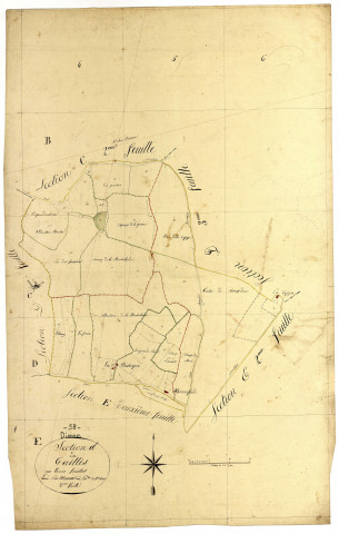 Diennes-Aubigny, cadastre ancien : plan parcellaire de la section D dite du Taillis, feuille 2
