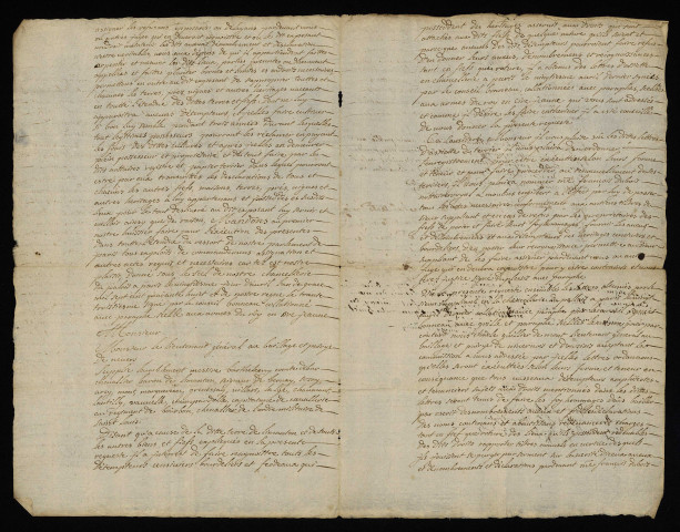 Biens et droits. - Baronnie de Limanton, rénovation du terrier : lettres accordées à Anne Barthelémy de Bar seigneur baron des lieux.