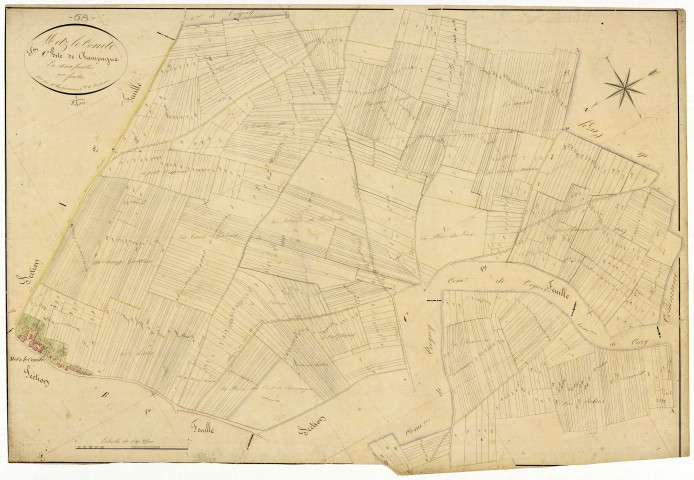 Metz-le-Comte, cadastre ancien : plan parcellaire de la section C dite de Champagne, feuille 2