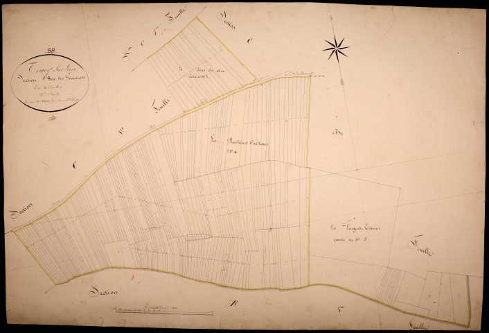 Tracy-sur-Loire, cadastre ancien : plan parcellaire de la section C dite des Gominets, feuille 2
