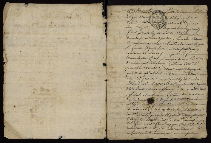 Fief de La Motte à Héry : terrier.