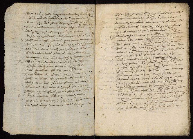 Fief de Druy : terrier lacunaire.