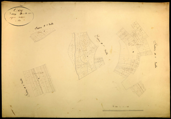 Oisy, cadastre ancien : plan parcellaire de la section B dite de la Champagne et de la section D dite de Paroy, développement