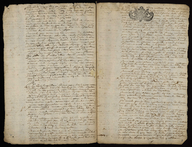 Fief de Druy : terrier lacunaire.