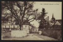 CORBIGNY (Nièvre) – Le Tilleul