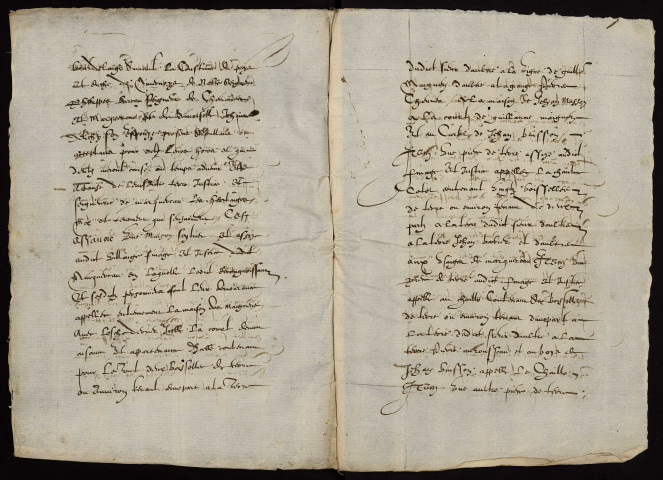 Fief de Mont-Marquereau à Limanton : terrier.